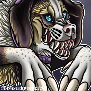 Disasterpuppet
