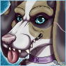 Druu