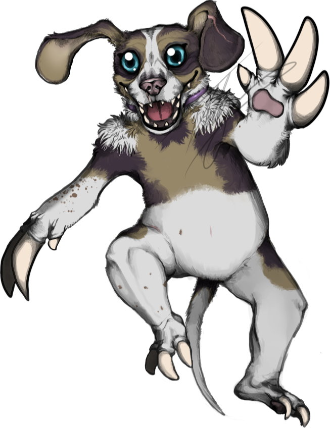 the image that started it all